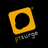 ptsurge's profile image