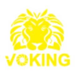 voking is focused on all types of camera accessories like flashes,battery grips and ttl trigger,etc.