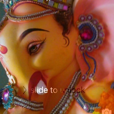 k1976p's profile picture. Iphone9892837743