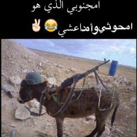 امجنوب07/بلادالأغبيا (@o___________7) 's Twitter Profile