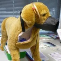 UCD Clinical Skills Centre (@ucdcsc) 's Twitter Profile