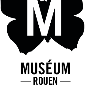 Muséum d’histoire naturelle de Rouen, #ethnographie #galeriedescontinents #tetemaori #zoologie #museum #rouen