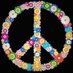 Noor Hobbs (@nhoblos) Twitter profile photo Noor Hobbs (@nhoblos) Twitter profile photo