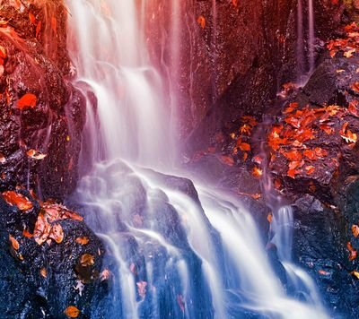 Hoseen533's profile picture. 