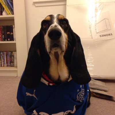 johnmcmillan27's profile picture. 