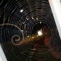 Harley Quinn (@harley_quinn_) 's Twitter Profile