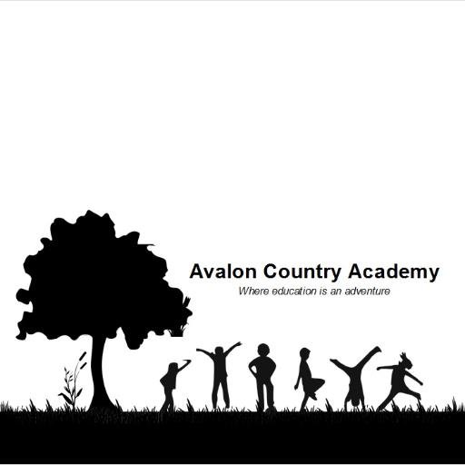 avalon_country's profile picture. A space where children are encouraged to be children to dream, to build, make noise, run, laugh or just be. To learn the way nature intended us to through play!