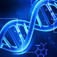 eelkhatibsci's profile picture. Nutritionist now- educator forever