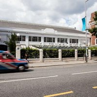 Bluebird Chelsea (@bluebirdchelsea) Twitter profile photo