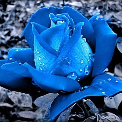 leannebrown85's profile picture. 