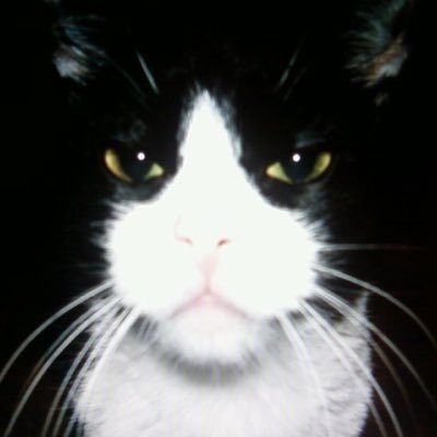 _Klou_'s profile picture. 