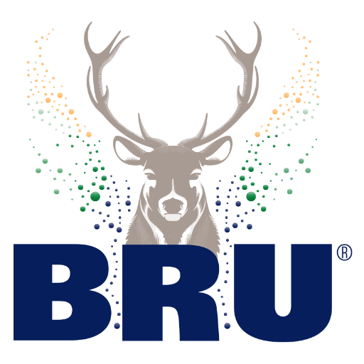 Image result for bru water logo