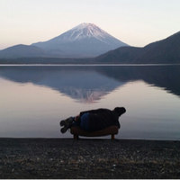 スパローズ　大和 (@suparrowsyamato) Twitter profile photo