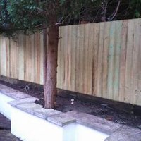 Castleton Landscapes (@castleton_lands) 's Twitter Profile