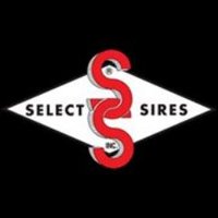 Select Sires Inc. (@selectsiresinc) Twitter profile photo