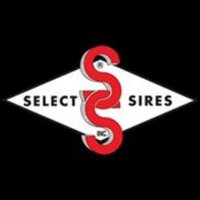 Select Sires Inc.(@SelectSiresInc) 's Twitter Profileg