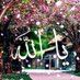 ابو انس المختار (@anasabosamra181) Twitter profile photo ابو انس المختار (@anasabosamra181) Twitter profile photo