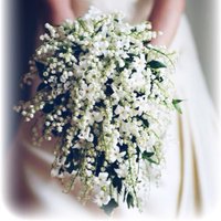 Lily of The Valley (@lilyvalley0) 's Twitter Profile