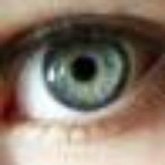 NewtonEyeView's profile picture. Newton-eye view of what a local resident sees every day.