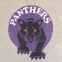 Meadow View(@MVPanthers1) 's Twitter Profile Photo