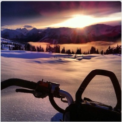 LisaCra46234676's profile picture. 