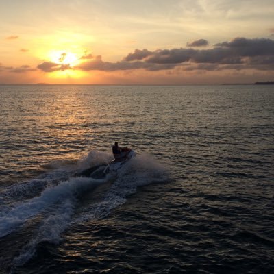 athausch's profile picture. Dad, golfer, sports fan, future retiree, sandwich aficionado and creator of the meat flight