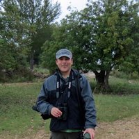 Simon Bradfield (@simonbradfield) 's Twitter Profile