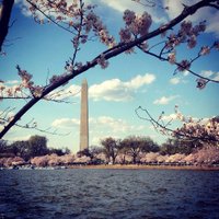 inauguration (@inauguration) 's Twitter Profile