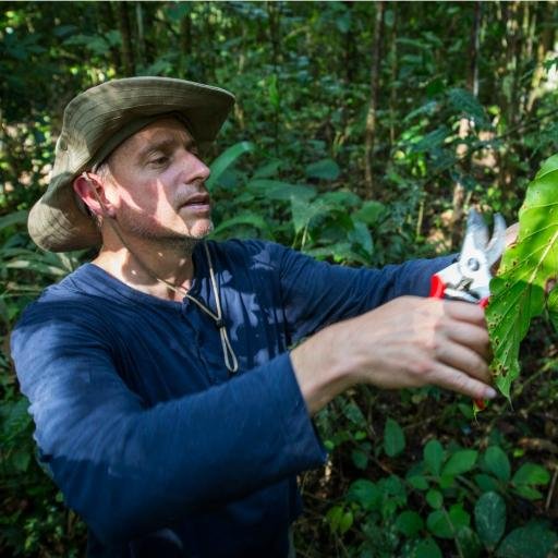 Prof @UMichEEB studying tropical trees and forests. Curator of Vascular Plants at #UM_Herb. Hampshire College grad @Hampshirecolg.