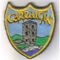 CarrigeenNS (@carrigeenns) 's Twitter Profile