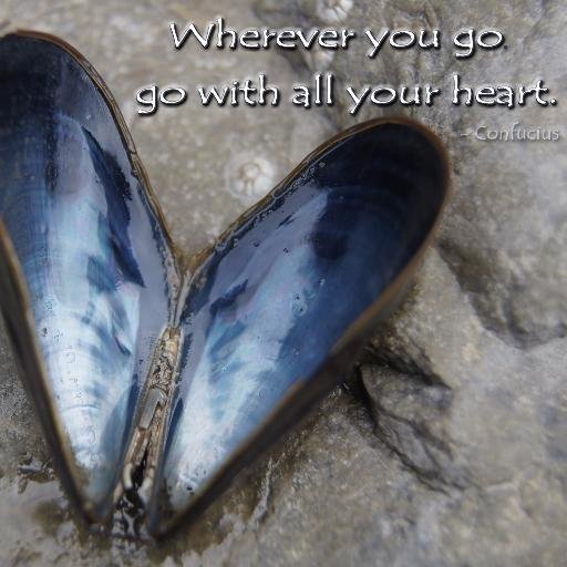 https://t.co/UtGEbQM5jX: #Grief #Network and #Bereavement Resources. FREE #OnlineMemorials. Customized #Memorial Products. #InMemory #RIP