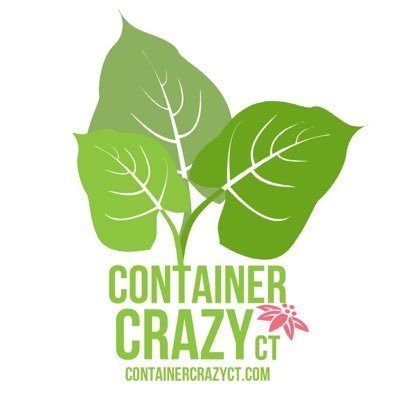 Container (Gardening) Crazy CT, Broad Brook, CT. Combining nature with art. See more at https://t.co/V4JcTaWLTV and https://t.co/8irPkTMyux and https://t.co/duLwza2Ky4