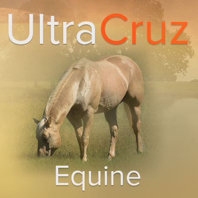 UltraCruz Equine