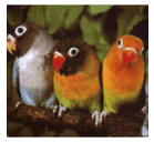 Rex Linder - @stringnow - Twitter