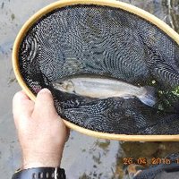 Chuck Crisp (@fishingrn) 's Twitter Profile