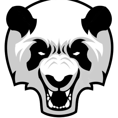 PandaCapoeiraPB's profile picture. Associação de Capoeira, Raça Nova