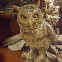 Johnny (@yoru1owl) 's Twitter Profile Photo Johnny (@yoru1owl) 's Twitter Profile Photo