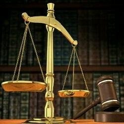 advt_shashank's profile picture. 