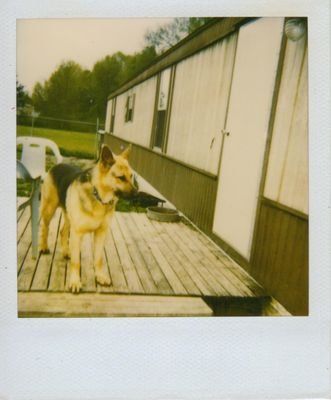 CharoleneMoulde's profile picture. 