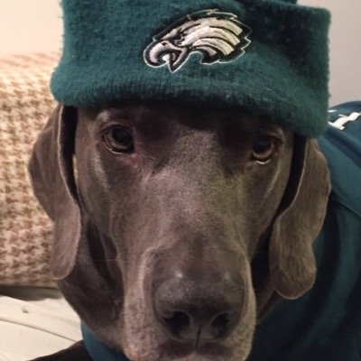 Trailblazer dog in the TriState U.S.A..,not sure who I’m following or who is following me, just having some dog gone fun.The Eagles are Top Dogs, not Underdogs!