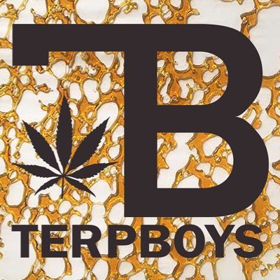 terp_boys's profile picture. 