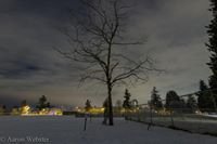 ducatistreet's profile picture. 