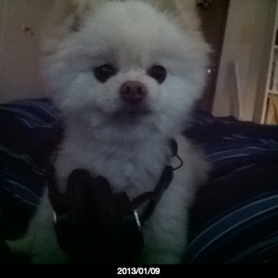 wonder725's profile picture. 