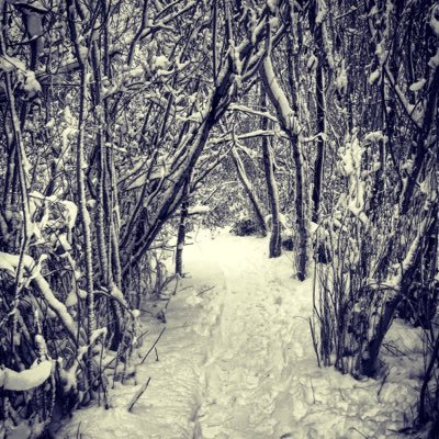 TheCoolUpdate's profile picture. 