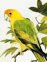 SanteeLodge116's profile picture. The Official Twitter account for Santee Lodge #116