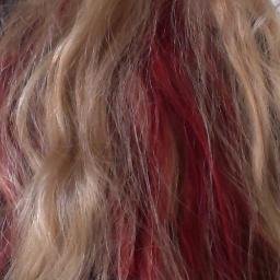 Susannefrueh's profile picture. 