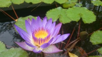 james2003rod's profile picture. 