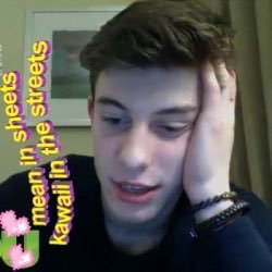 ⠀⠀⠀⠀ shawn