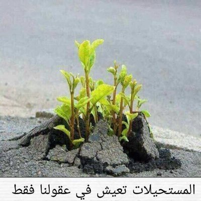 Zoom1500's profile picture. رُغمَ تلوّث هذَا الزّمنَ اؤْمنُ بَـ انّ هنَاك انفاسًا نقيّه ولكن نادره جداً . . ♡ ””