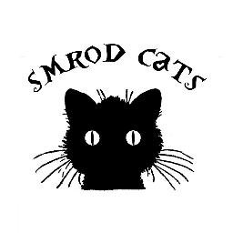 Hello darling! Come see https://t.co/Pf2VuS6wtK for all your cat needs. Cool finds & wacky stuff. Meooooow